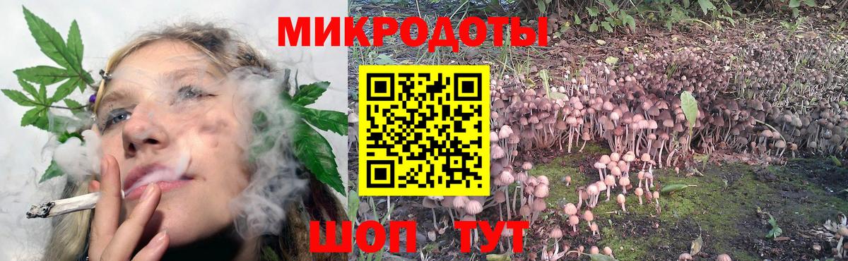 Галлюциногенные грибы Magic Shrooms Югорск